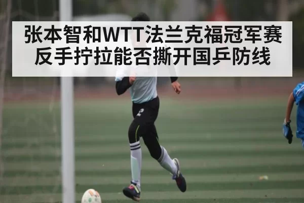 张本智和WTT法兰克福冠军赛反手拧拉能否撕开国乒防线